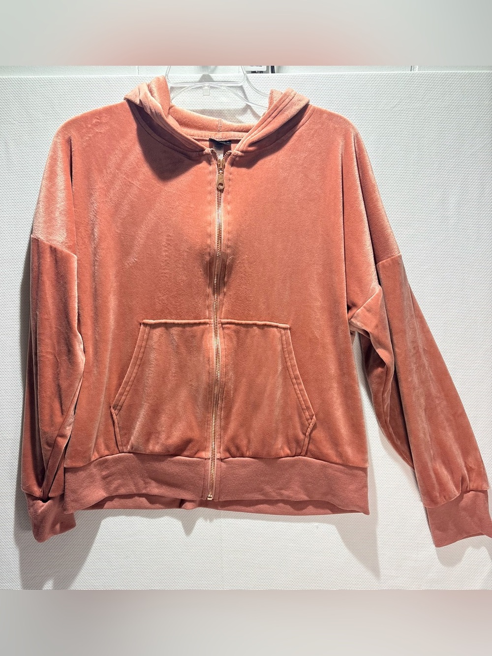 Women's Plush Zip-Up Hoodie in Dusty Rose